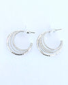 Metallic Hoops